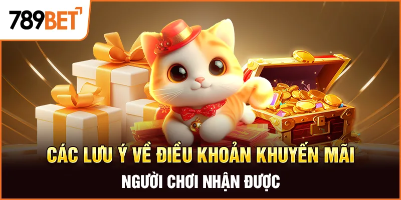 Các lưu ý về điều khoản khuyến mại người chơi nhận được