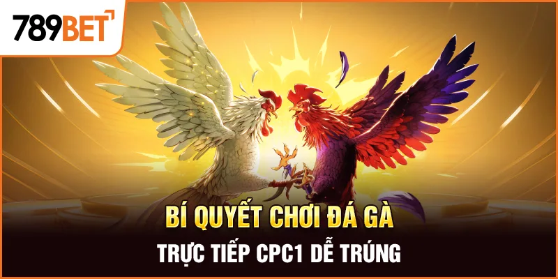 Bí quyết chơi đá gà trực tiếp cpc1 dễ trúng