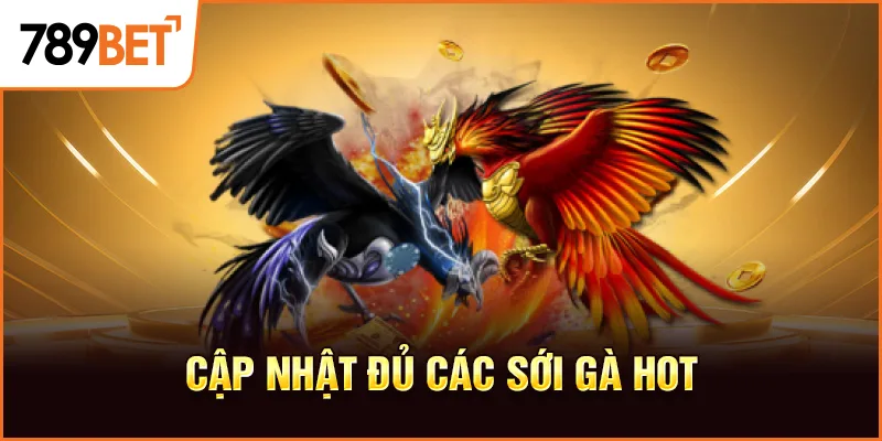 Cập nhật đủ các sới gà hot Cập nhật đủ các sới gà hot